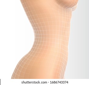 cuerpo femenino vectorial sobre fondo blanco. malla fotorealista
