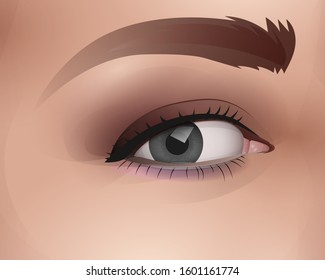 vector female eye with makeup, realistic fashion illustration