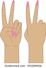 vector of female hand showing a peace sign. Two fingers raised up. Peace and Victory.