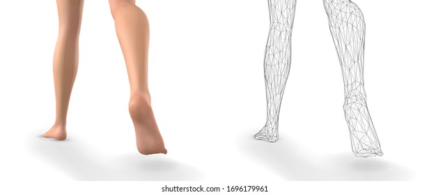 vector female legs confident step isolated on white background