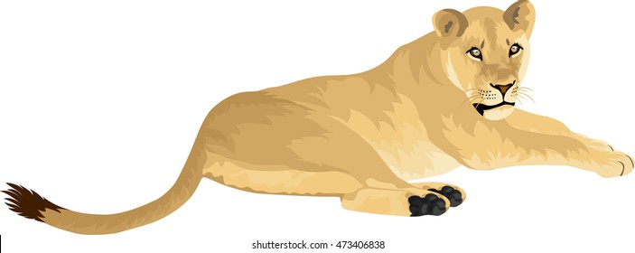 Free Free 121 Lion And Lioness Svg SVG PNG EPS DXF File