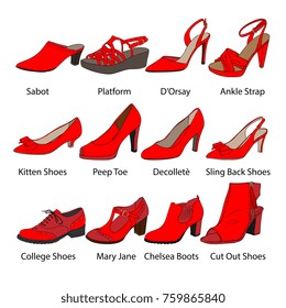 Vector Female Shoes Illustration Set
