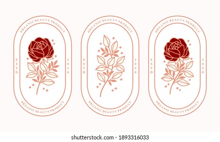 Vector feminine logo design templates in trendy linear minimal style. Peony, rose flowers and botanical leaf branch. Emblem, symbols and icons for cosmetics, jewellery, beauty and handmade products