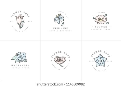 Vector feminine signs and logos, templates set. Floral Illustration-hydrangea, ranunculus, anemone and lily. Premium quality colorful emblems