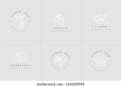 Vector feminine signs and logos, templates set. Floral Illustration-hydrangea, ranunculus, anemone and lily. Premium quality emblems