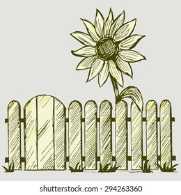 Vector fence with a sunflower that grows near