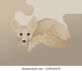 Vector fennec fox with big ears lying down. Desert fox with a cute muzzle and bushy tail. 