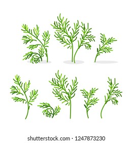 vector fennel dill greenery cute icons set