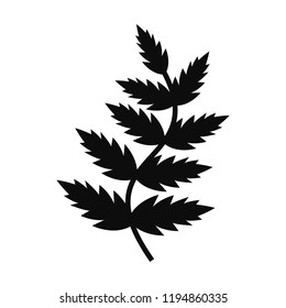 Vector Fern Leaf. Silhouette Isolated On White Background.