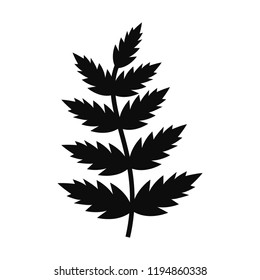 Vector Fern Leaf. Silhouette Isolated On White Background.