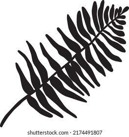 Vector fern leaf, silhouette on a white background. Beautiful fern branch, botanical illustration, green foliage, floral elements. Summer tropical plants