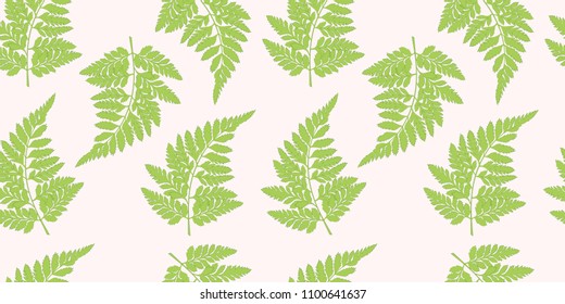 Vector fern pattern. Seamless botanic texture, detailed flowers illustrations. Doodle style, spring floral background.