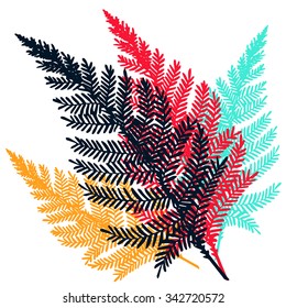 Vector Fern set hand drawn botanical illustration