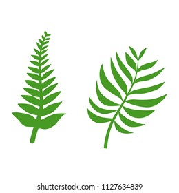 Vector fern silhouette