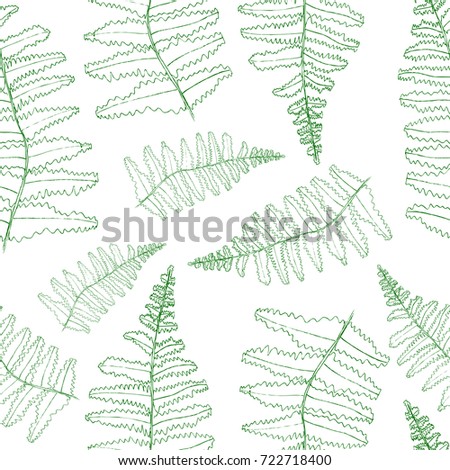 Vector fern silhouette collection. Green isolated prints of fern leaves on the white background. Stock photo © 