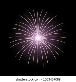 Vector festive firework bursting on black background, light effect, purple color