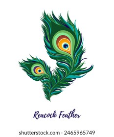 Vector festive peacock feather. Great for any designs, prints, for Krishna Janmashtami celebration. Indian festival decor, traditional decoration