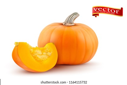 Vector festive pumpkin isolated on white. Realistic 3D pumpkin. Realistic whole and a slice of gourd.