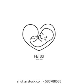 Vector fetus icon in trendy linear style. Gynecology clinic  logo, design element for hospital site.