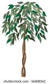 vector ficus tree