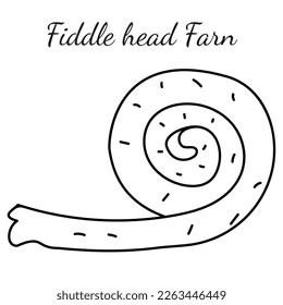 Vector Fiddle head farn outline icon illustration