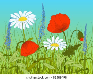 Vector field with fantasy flowers and grass.