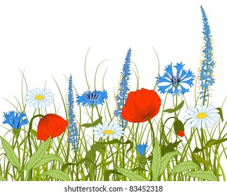 Vector field with fantasy flowers and grass.