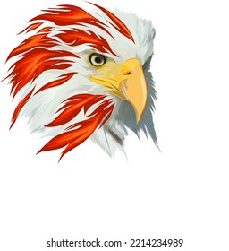The vector of the fiery eagle's head is suitable as an image for screen printing clothes on a white background