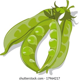 Vector figure of pods of green peas on a white background