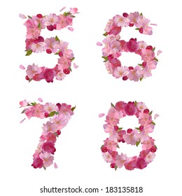 Vector figures 5,6,7,8 with gentle pink spring sakura flowers