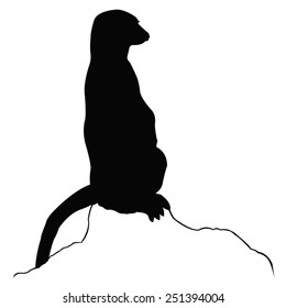 vector file of animal silhouette