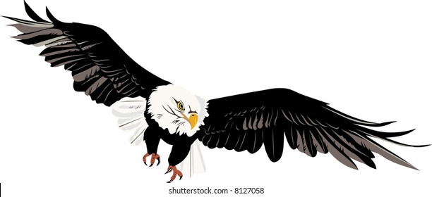 vector file bald eagle