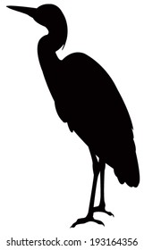 vector file of bird