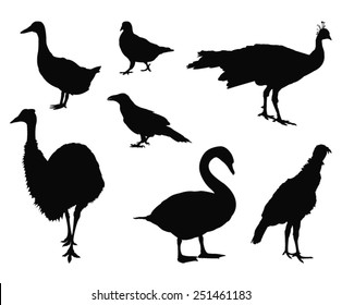 vector file of bird silhouette