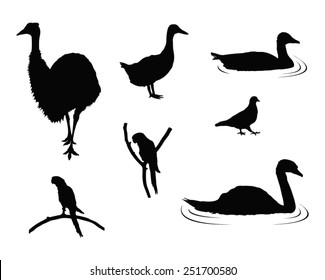 vector file of birds silhouette