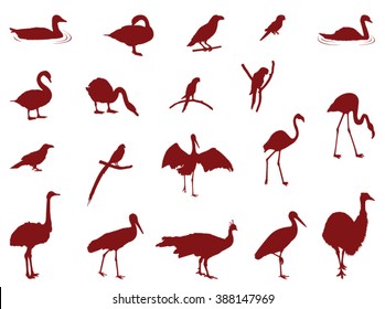 Vector file of birds silhouette