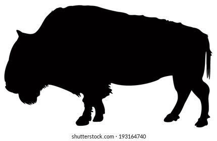 vector file of buffalo