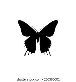 vector file of butterfly silhouette
