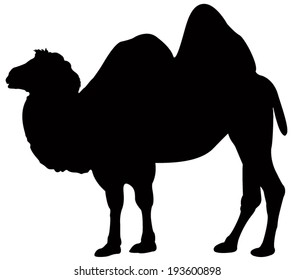 Vector File Camel Stock Vector (Royalty Free) 193600898 | Shutterstock