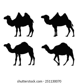 Vector File Of Camel Silhouette