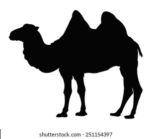 vector file of camel silhouette
