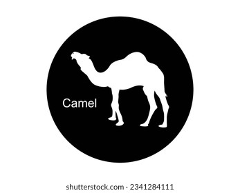 Vector file of camel silhouette on white background, vector, isolated. Camel symbol of desert. Vector illustration.
