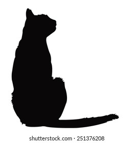 vector file of cat silhouette