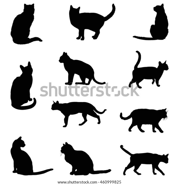 Vector File Cat Silhouette Stock Vector Royalty Free 460999825 Shutterstock