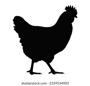 Vector file of chicken silhouette