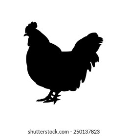 vector file of chicken silhouette