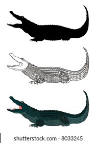 vector file crocodile