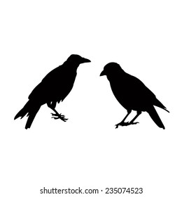 vector file of crow silhouette