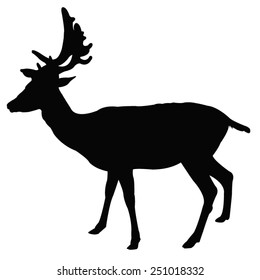 vector file of deer silhouette
