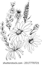 Vector file of different wild flowers illustration. Black line work and transparent background. Illustration is hand drawn in ink for a vintage, classic look.